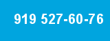 919 527-60-76 919 527-60-76